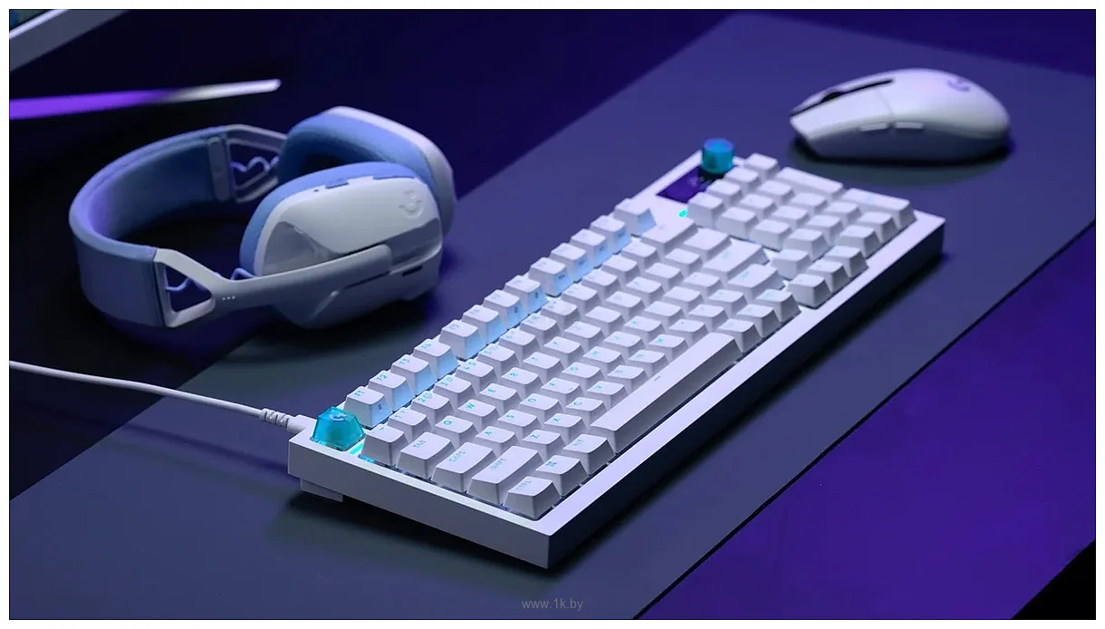 Фотографии Logitech G316 X 8K 920-013700 white, с гравировкой Фотографии Logitech G316 X 8K 920-013700 white, с гравировкой
