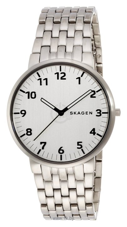 Фотографии Skagen SKW6200