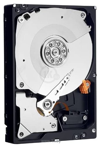 Фотографии Western Digital RE4 1TB Western Digital1003FBYX