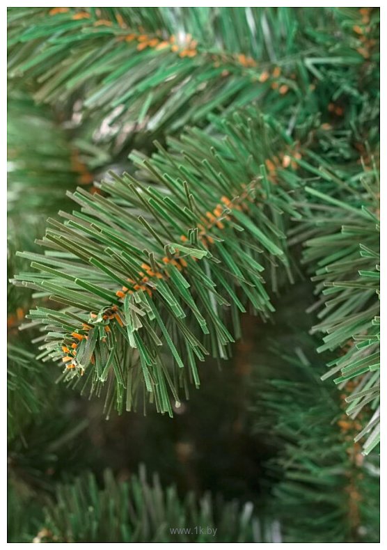 Фотографии Holiday Trees Европейская 1.5 м