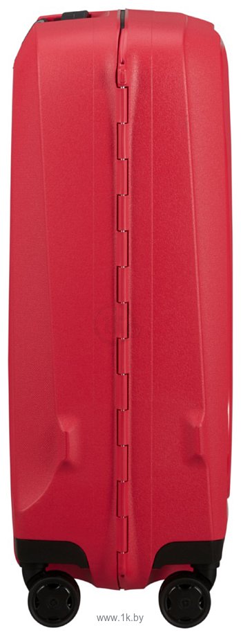 Фотографии Samsonite Essens Hibiscus red 55 см