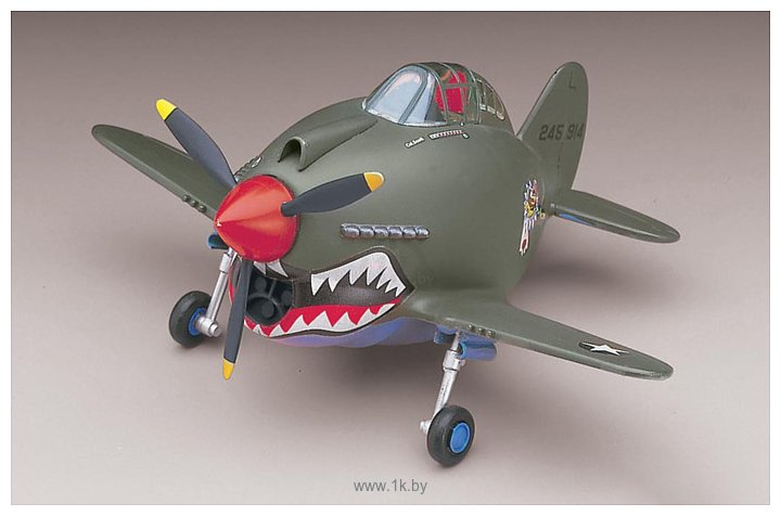 Фотографии Hasegawa P-40 Warhawk