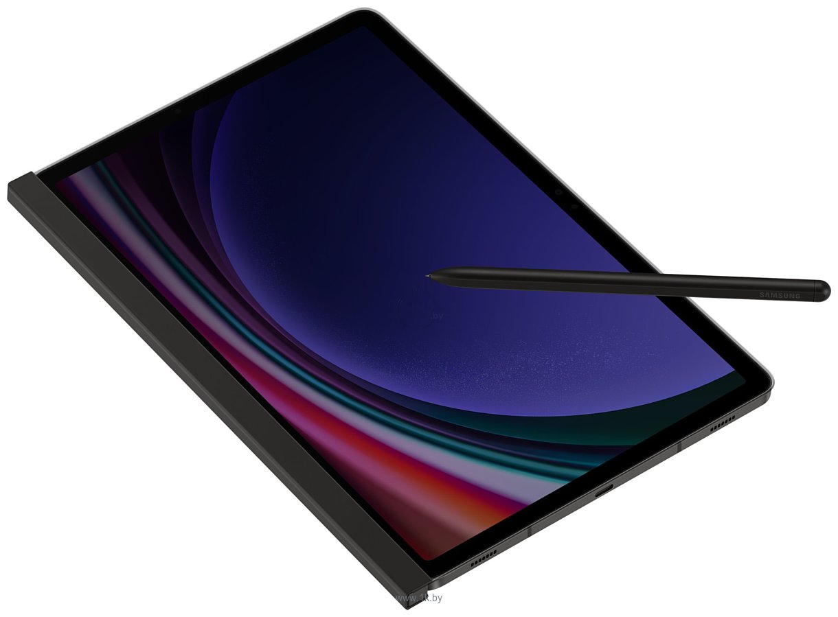 Фотографии Samsung Privacy Screen Tab S9 (черный)