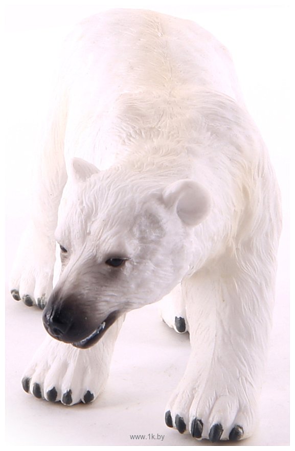 Фотографии Collecta Полярный медведь 88214B L