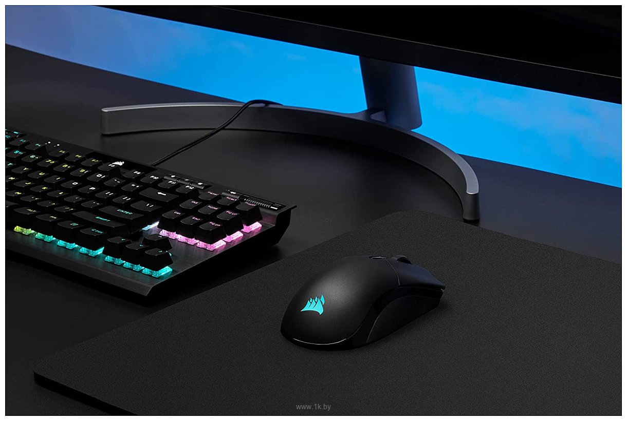 Фотографии Corsair Sabre RGB Pro Wireless