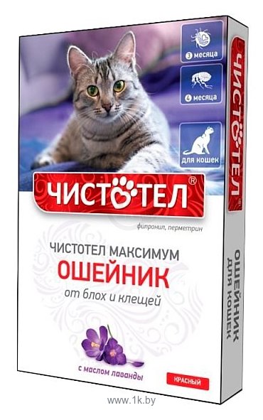Фотографии ЧИСТОТЕЛ Максимум Ошейник от блох и клещей для кошек