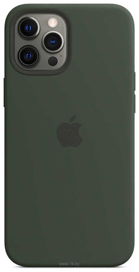 Фотографии Apple MagSafe Silicone Case для iPhone 12 Pro Max (кипрский зеленый)