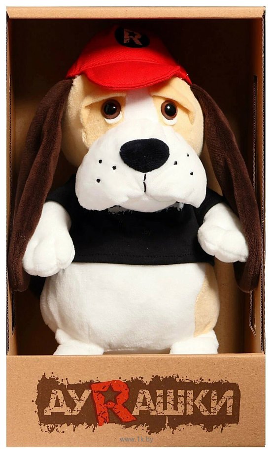 Фотографии ДуRашки Бассет-Хаунд в бейсболке MT-MRT-D04202303-23