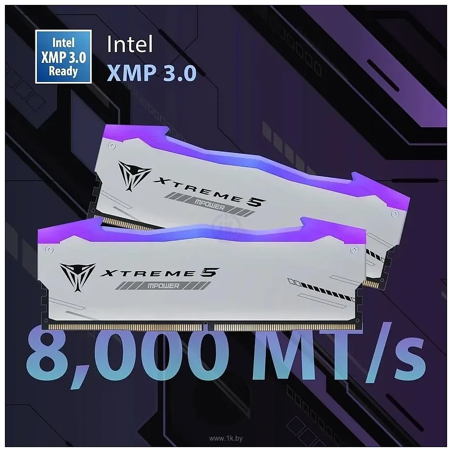 Фотографии Patriot Viper Xtreme 5 PVXR548G80C38KM Фотографии Patriot Viper Xtreme 5 PVXR548G80C38KM