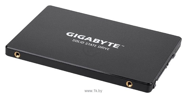 Фотографии GIGABYTE 1000 GB (GP-GSTFS31100TNTD)