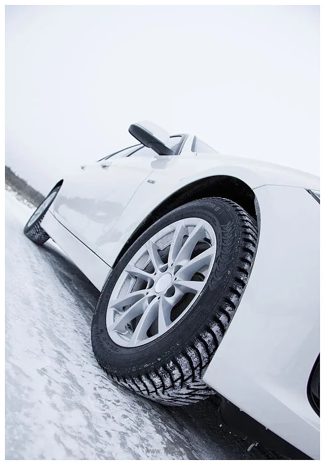 Фотографии Ikon Hakkapeliitta 8 205/60 R16 96T