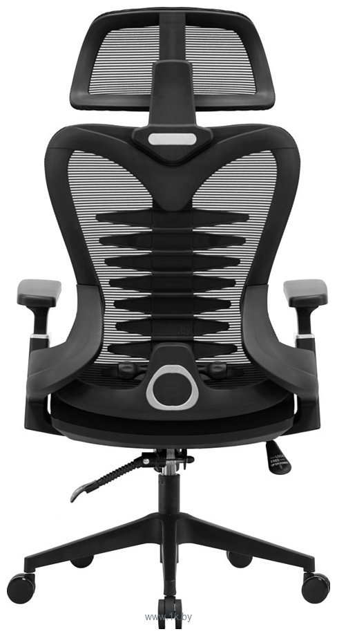 Фотографии Evolution HarmonySpine (черный)