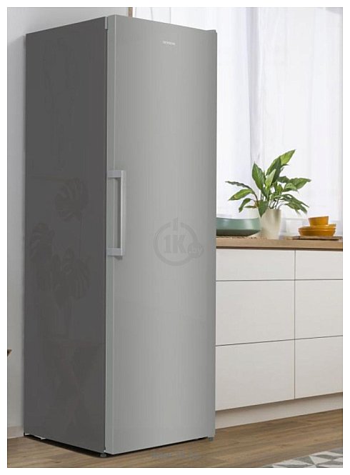 Фотографии Gorenje FN619FES5