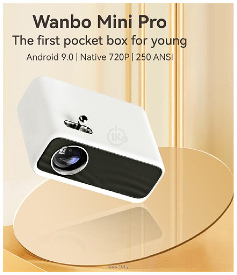 Фотографии Wanbo Mini Pro