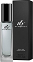 Burberry Mr. Burberry Indigo EdT (30 мл)