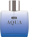 Dilis Parfum Cool Aqua EdT 100 мл