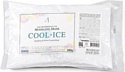 Anskin Маска альгинатная Cool-Ice Modeling Mask 240 г