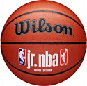 Баскетбольный мяч Wilson JR.NBA Fam Logo Indoor Outdoor WZ2009801XB7 (размер 7)