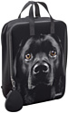 Городской рюкзак Erich Krause StreetLine 16L Black Dog 60343