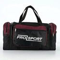 Спортивная сумка Mr.Bag 020-J042R-MB-BBD (ордовый)