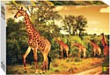 Пазл Step Puzzle Южноафриканские жирафы 85420 (4000 эл)