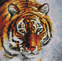 Алмазная мозаика Белоснежка Тигр на снегу 122-ST-S