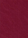 Мини рулонные шторы Delfa Сантайм Жаккард Веда СРШ-01М 899 57x170 (бордовый)