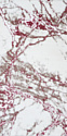 Ковер для жилой комнаты Витебские ковры Брио прямоугольник e3850a3 (2x4)