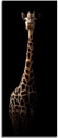 Картина на стекле Orlix Жираф GL-00750 50x125