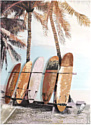 Картина Bergenson Bjorn By 3D Surf. Board BB0000594