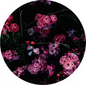 Картина на стекле Stamprint Кустовая роза AR010 круг (70x70)