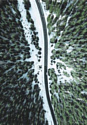 Картина на стекле Stamprint Зимняя дорога NT009 (100x70)