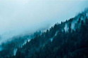 Картина на стекле Stamprint Туманный лес NT003 (80x120)