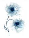 Картина Stamprint Синие цветы 1 TR020 (45x35)