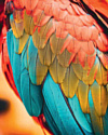 Картина Stamprint Перья попугая AM005 (100x80)