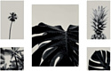 Картина Stamprint Черно-белое CS003 SET5 (90x140)