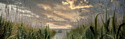 Картина Stamprint Озеро в закате SN013 (45x140)