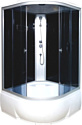 Душевая кабина Водный мир ВМ-8819 120x120 (черный/тонированное стекло)