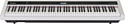 Цифровое пианино Tesler STZ-8800 (белый)
