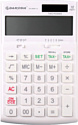 Бухгалтерский калькулятор Darvish DV-2666T-12W (белый)