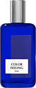 Brocard Color Feeling Blue EdT (100 мл)