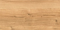 Керамогранит (плитка грес) Cersanit Woodhouse 598x297 (Brown)