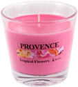 Ароматизированая свеча Provence 565065 (тропический цветок)