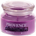 Ароматизированая свеча Provence 565110 (ежевика)