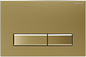 Панель смыва Burke Тип 09 109.GG.1 (матовое золото/золото)