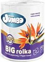 Бумажные полотенца Slonik Jumbo 2 слоя (1 рулон)
