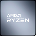 AMD Ryzen 9 5900X WOF