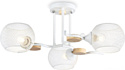 Ambrella light Traditional TR80163