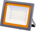 Прожектор JAZZway 5005167