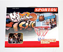 Баскетбольный щит С мячом и насосом Sportov / BS01541